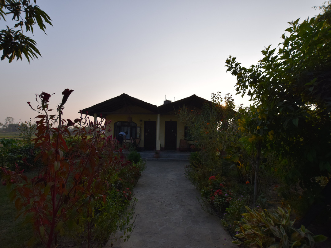 Bardia Homestay主图