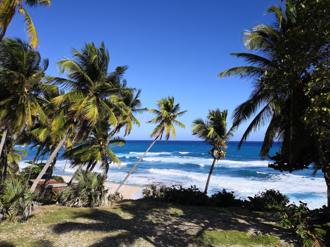 Casa del Mar Lodge主图