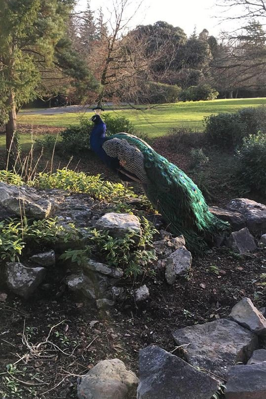 The Moat Spa-里辛必去景点