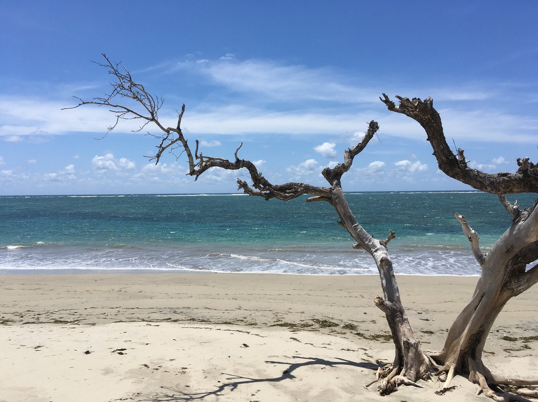 Sumba Adventure Resort主图