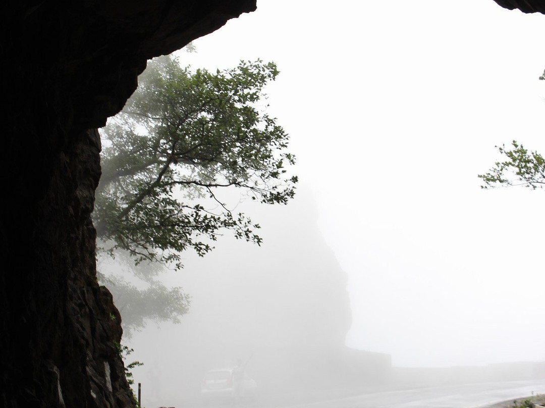 Malshej Ghat景点图片