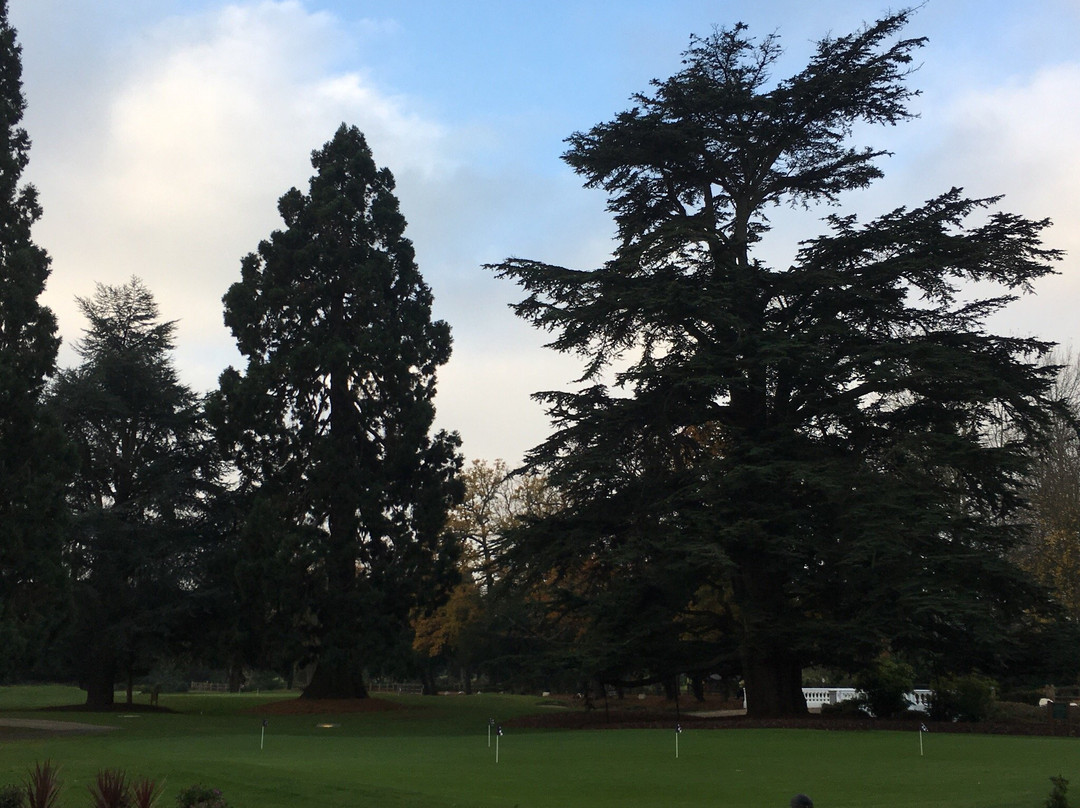 Buckinghamshire Golf Club景点图片