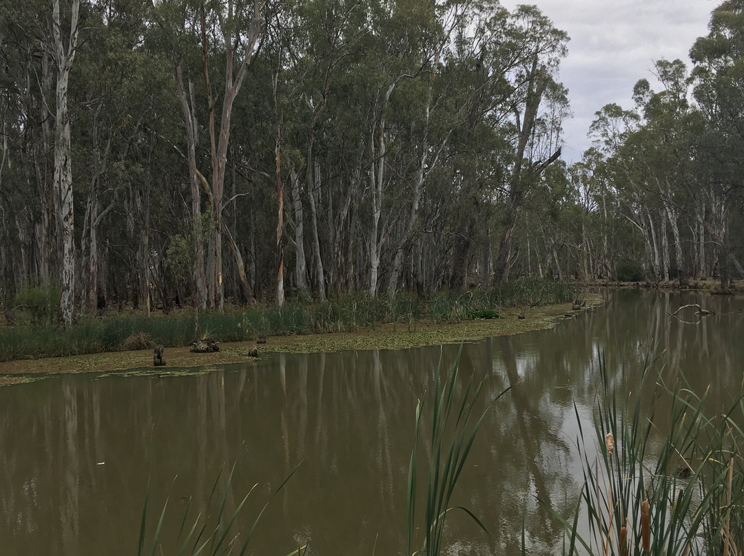 Cohuna Garden Supplies - Canoe Hire-Cohuna必去景点