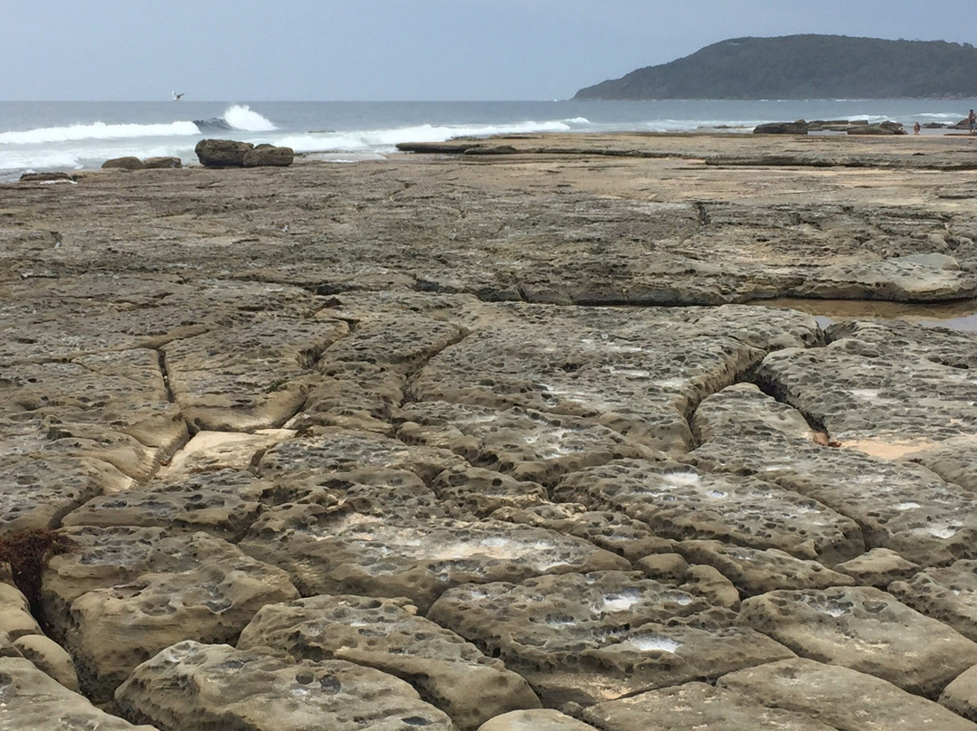 Toowoon Bay Beach景点图片