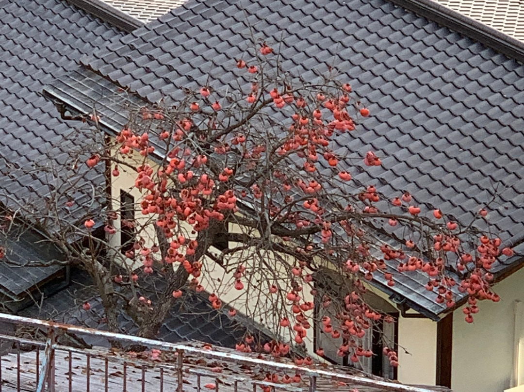 上松屋日式旅馆主图
