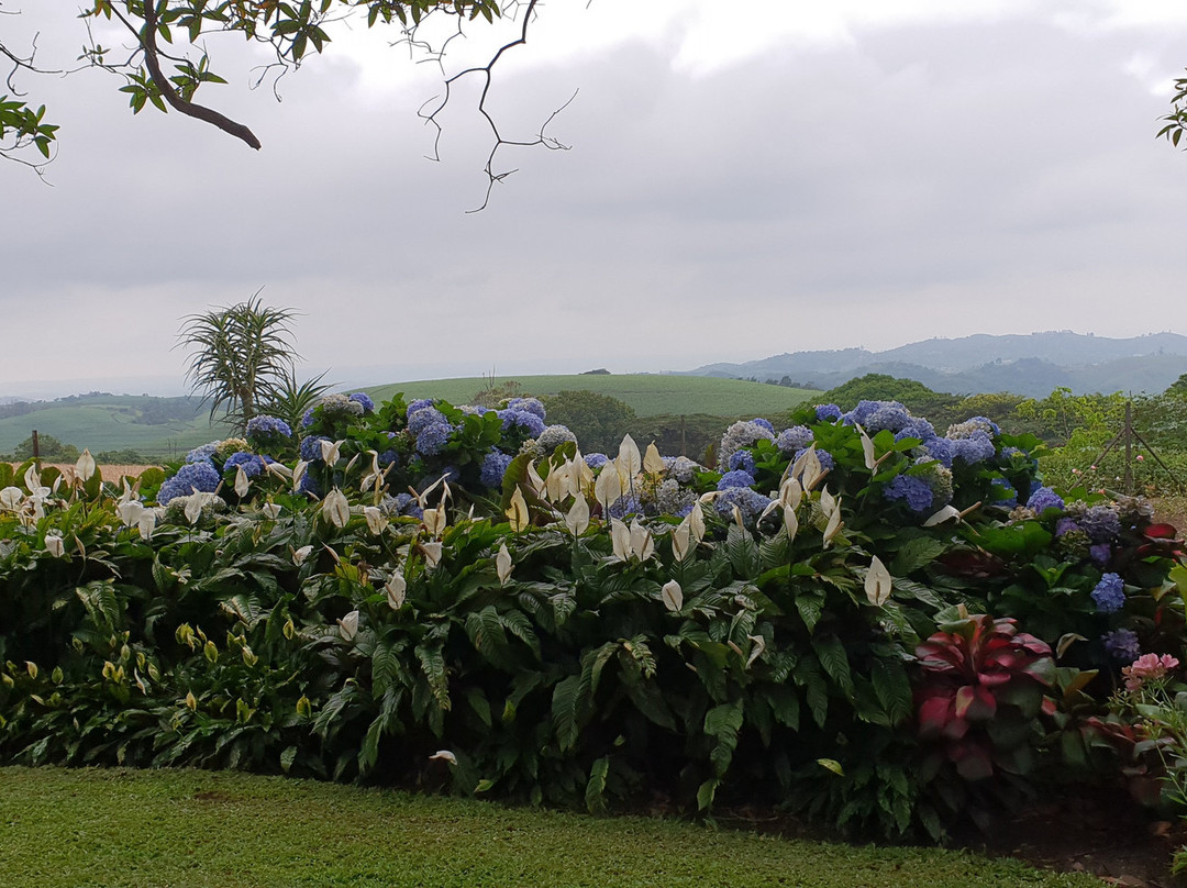 Chase Guest House主图