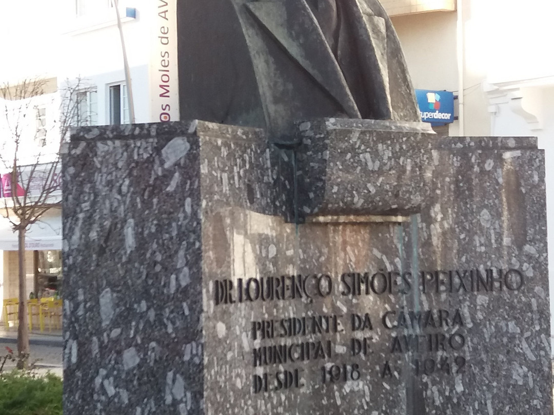 Monumento Busto a Dr Lourenco Simoes Peixinho-阿威罗必去景点