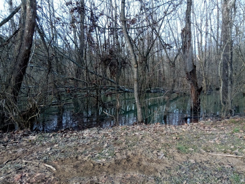 Sugar Hollow Park景点图片