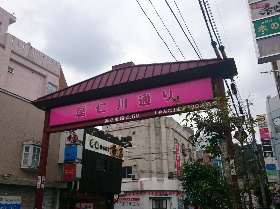 Yanigawa Shopping Street-奄美市必去景点