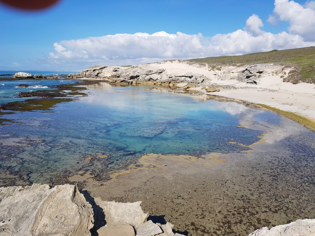 De Hoop Whale Trail景点图片