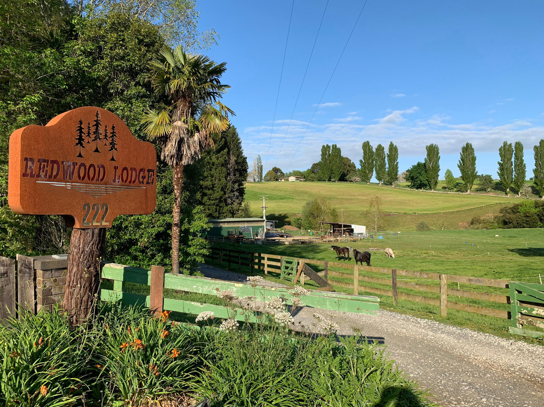 Redwood Lodge主图