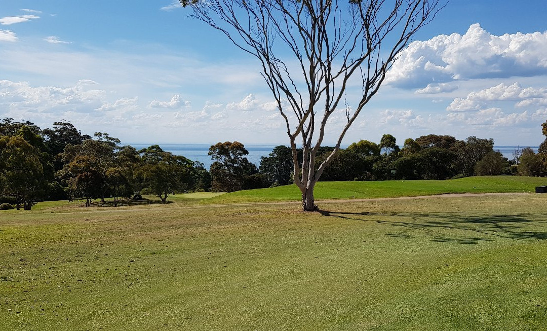 Mornington Golf Club景点图片