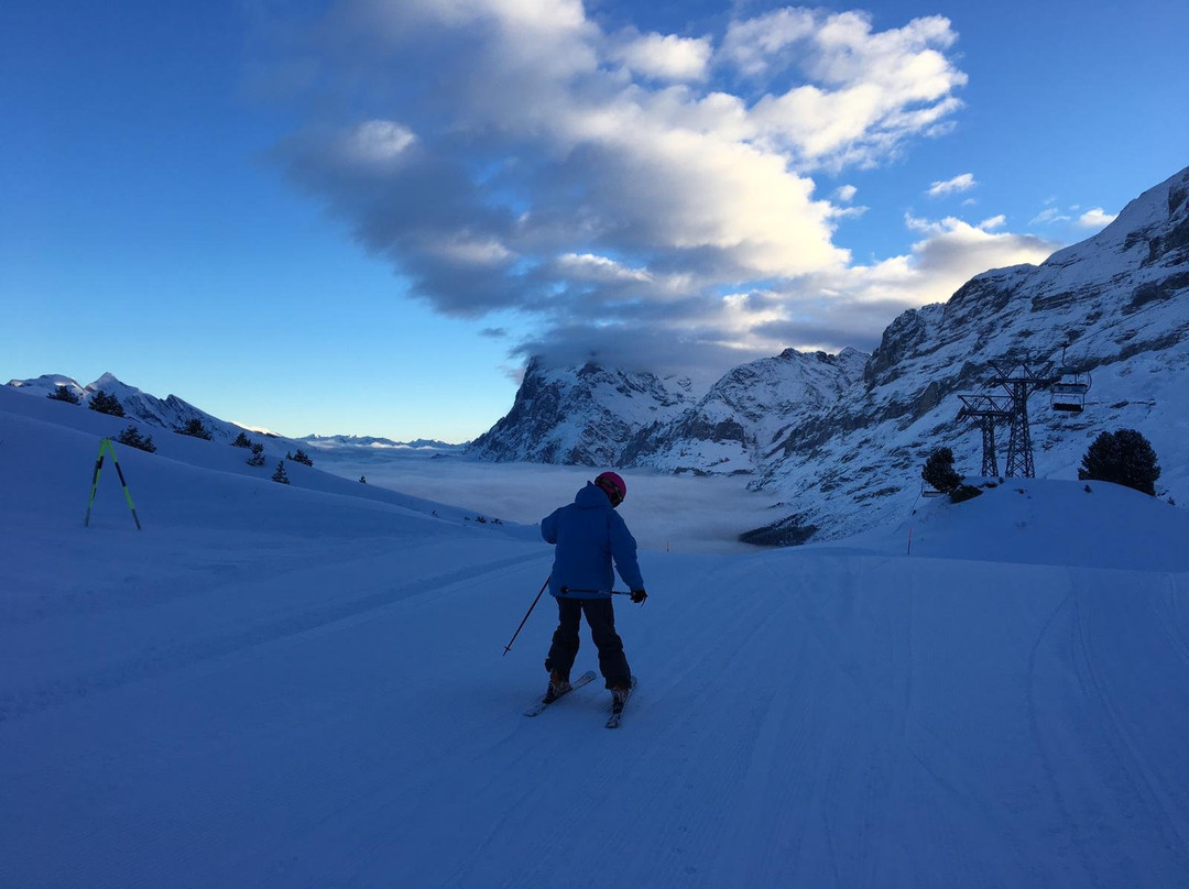 Ski&Do景点图片