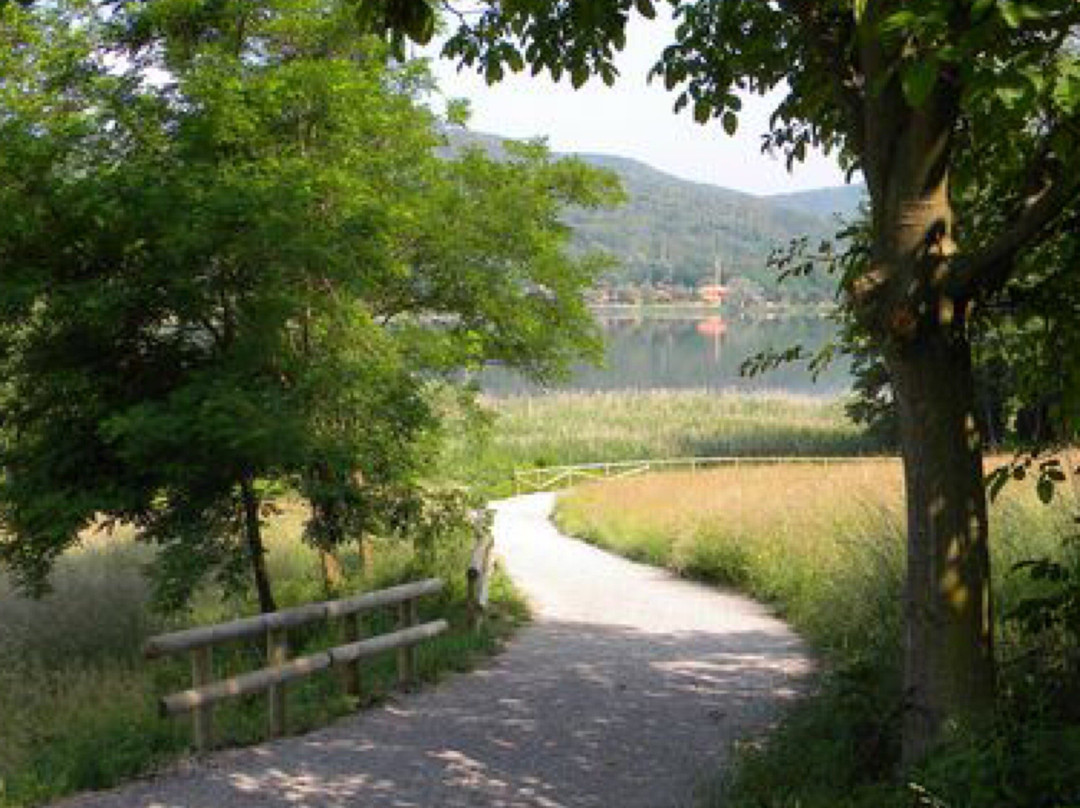 pista ciclabile lago di Comabbio景点图片