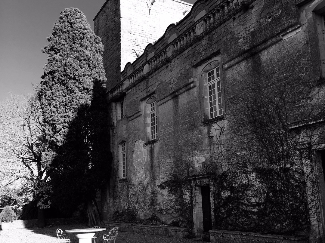Chateau de Villevieille景点图片