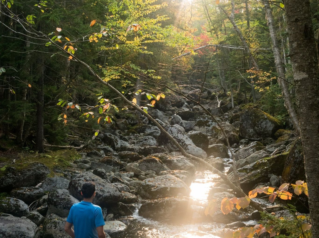 Adirondack Mountains-纽约州必去景点