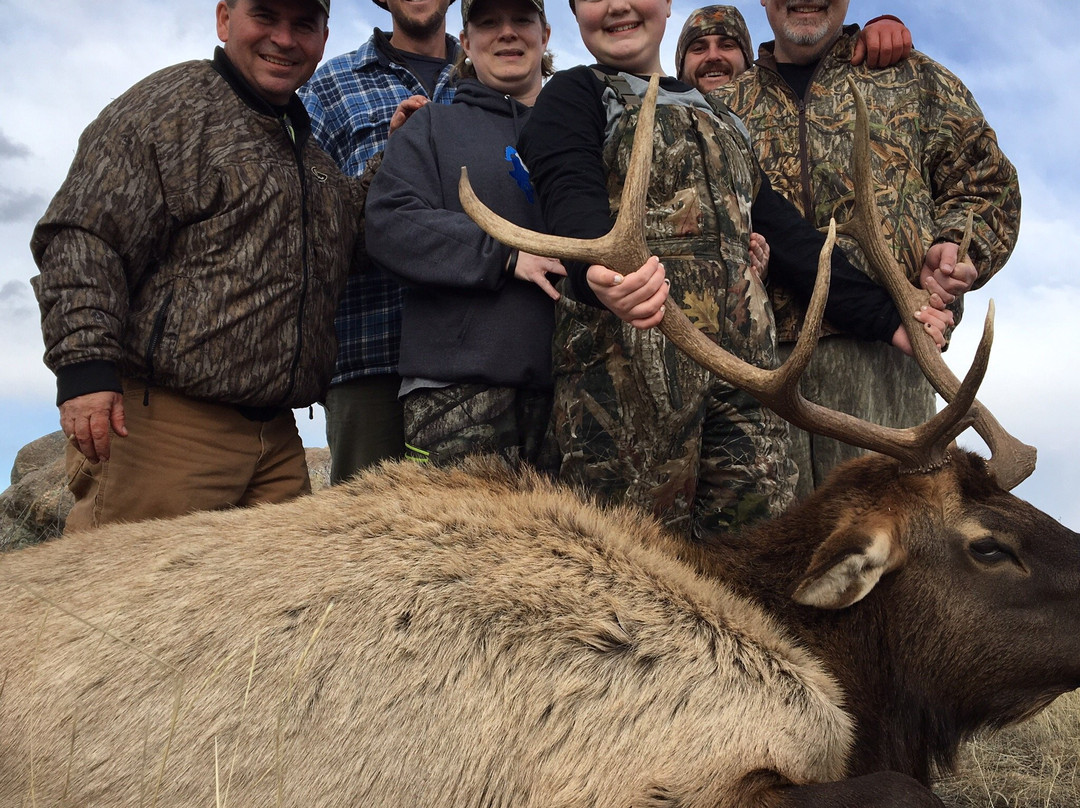 Best Western Torchlite主图