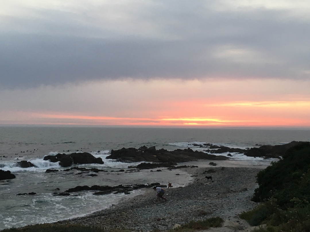 Eden on the Bay-Bloubergstrand必去景点