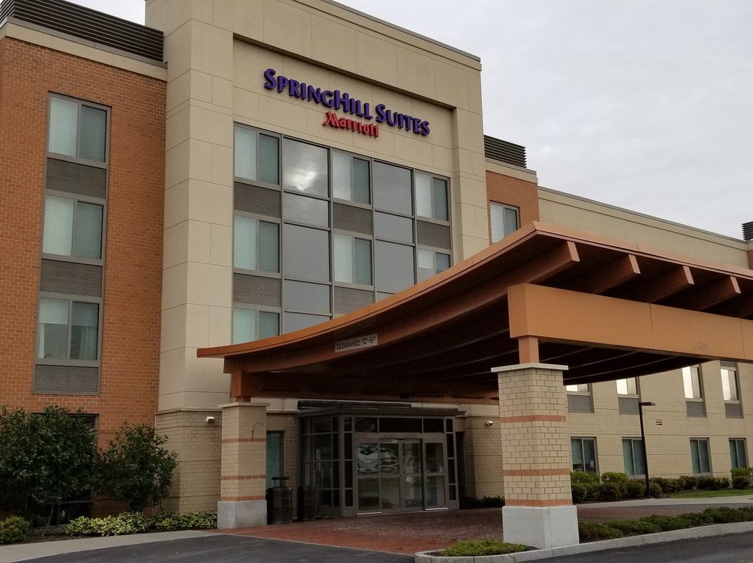 SpringHill Suites by Marriott Syracuse Carrier Circle主图