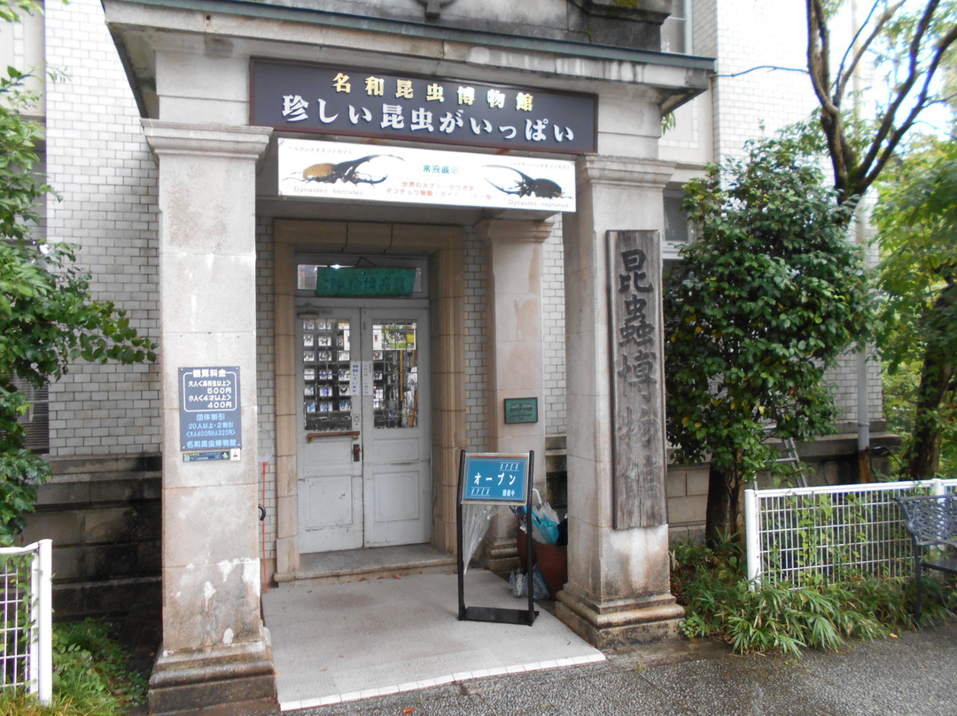 Nawa Insect Museum-岐阜市必去景点