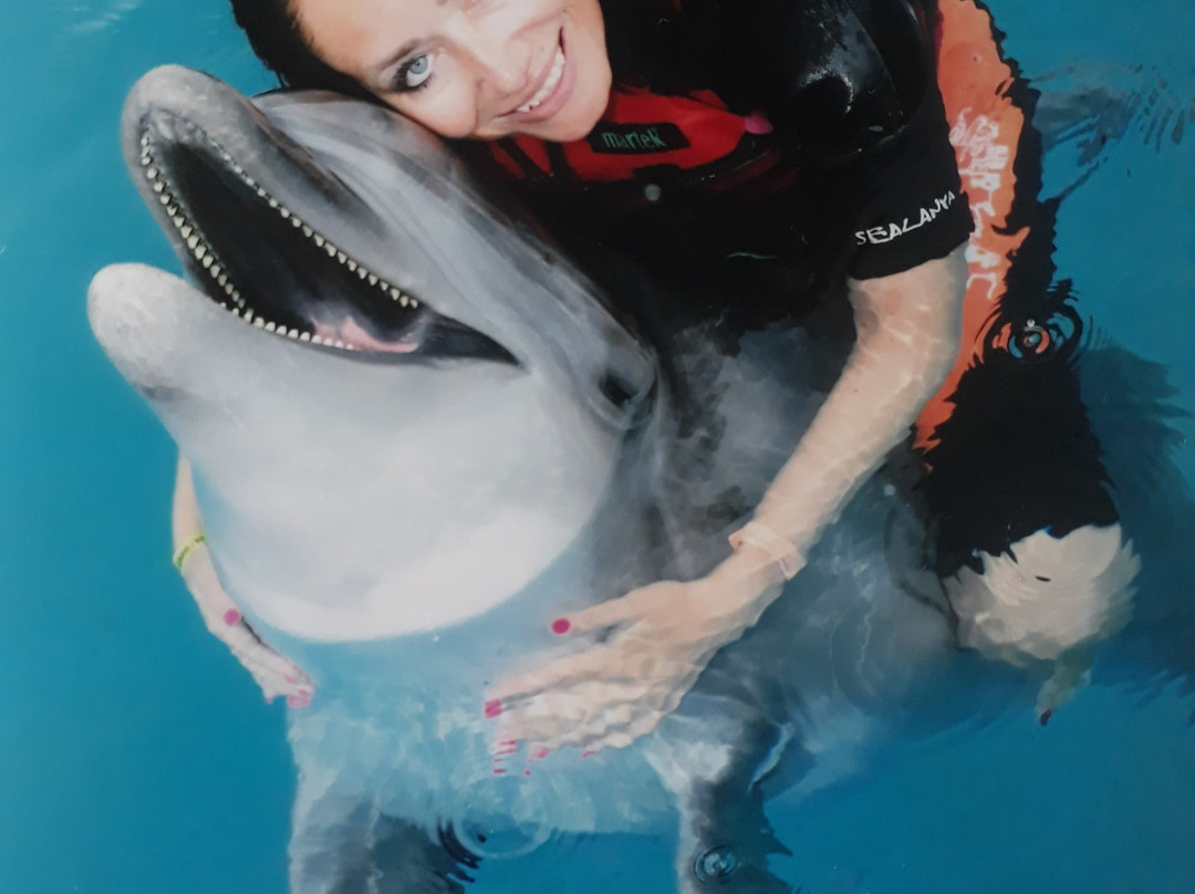 Sealanya Dolphinpark Seapark景点图片