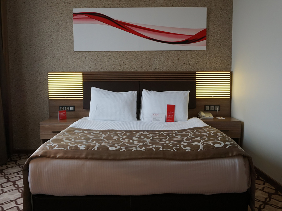 Ramada by Wyndham Diyarbakir主图