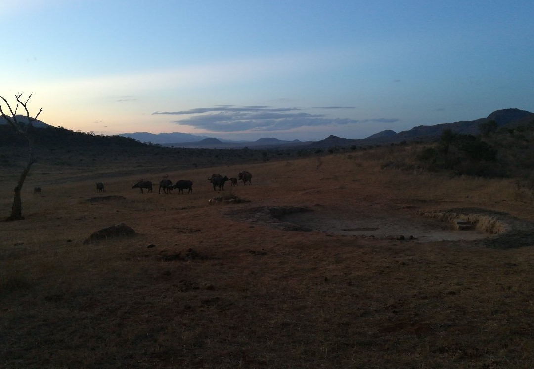 Ngulia Safari Lodge主图