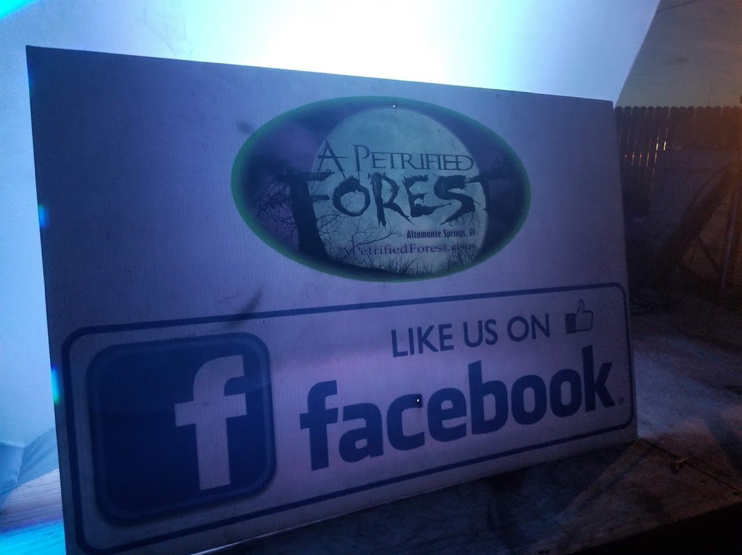 A Petrified Forest-阿尔塔蒙特斯普林斯必去景点