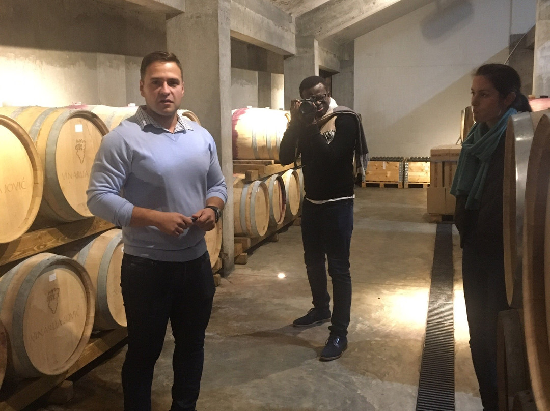 Vinarija Jovic景点图片