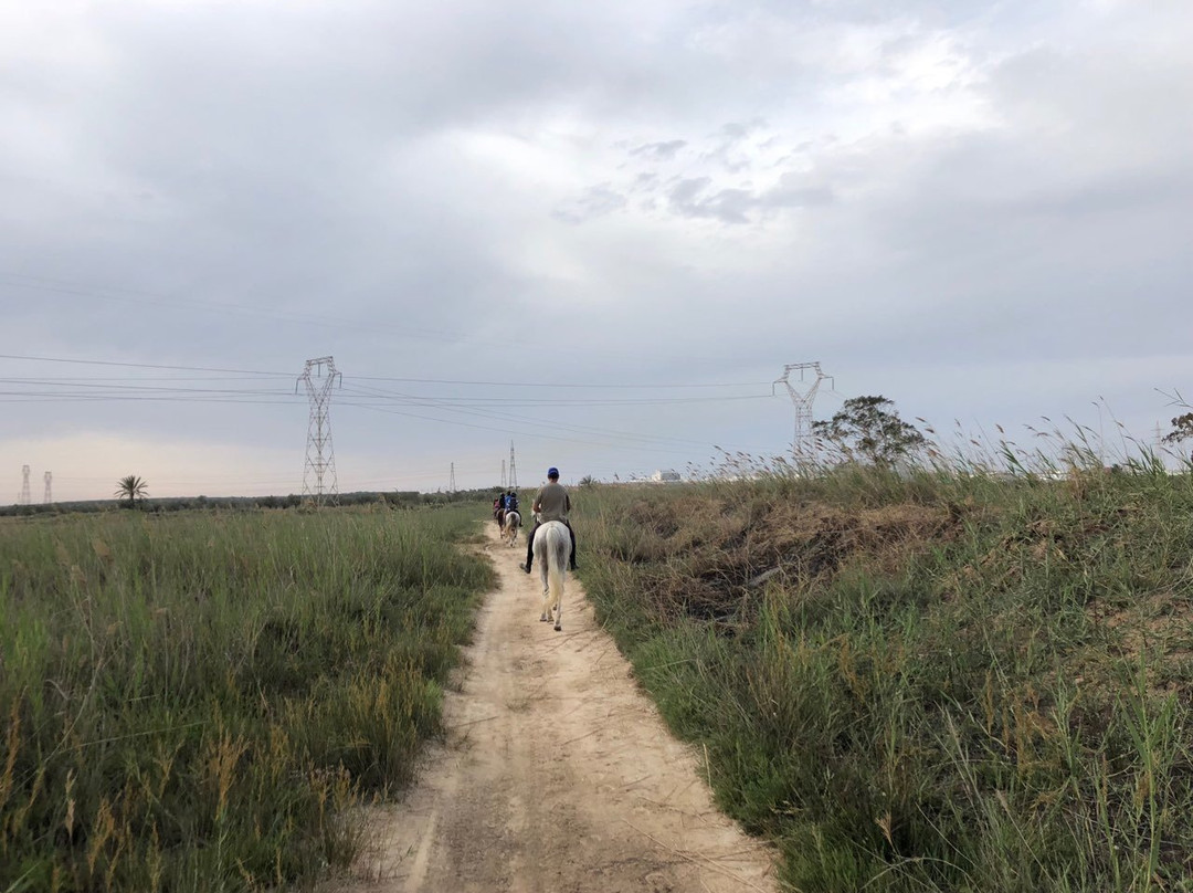 EkiClub-摩纳斯特必去景点