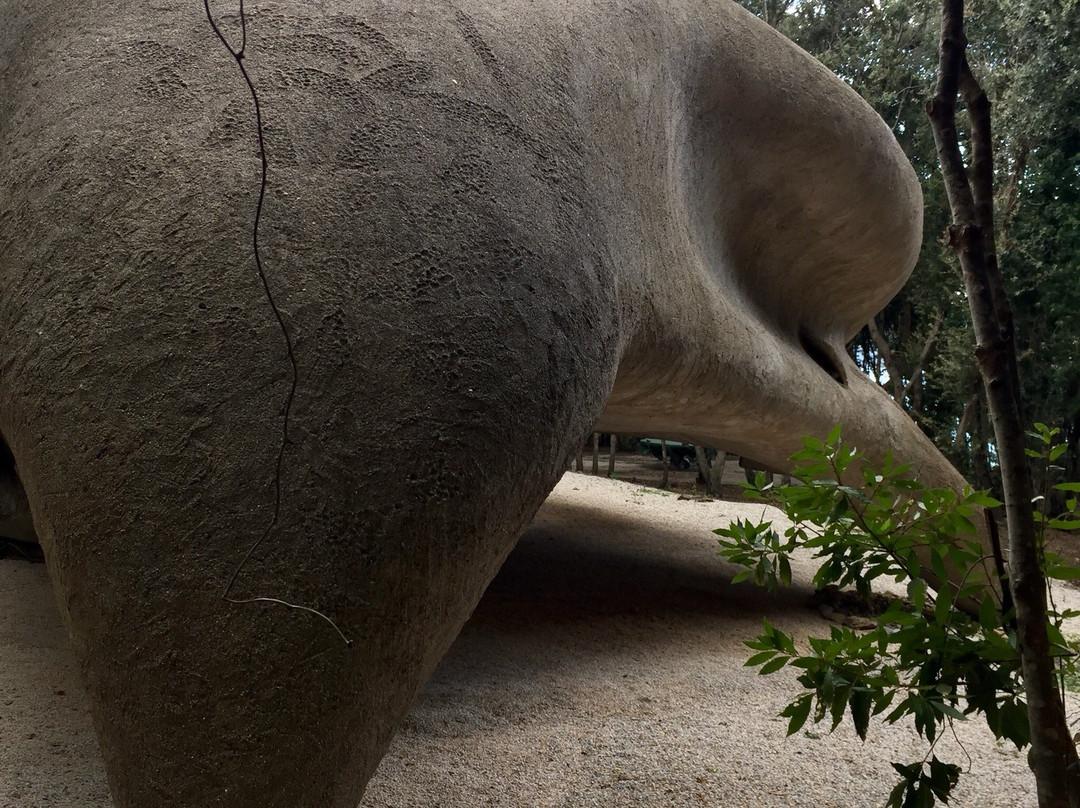 Casa Dinosauro Baratti景点图片