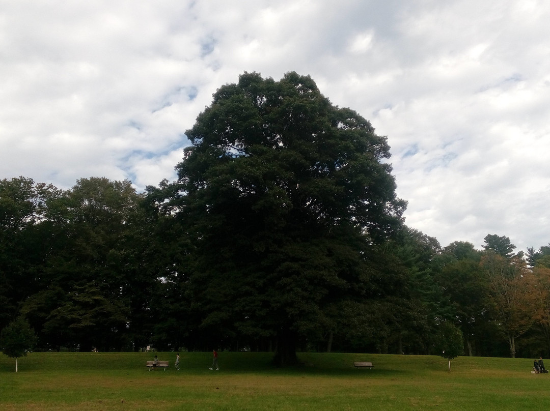 Franklin D. Roosevelt State Park-Yorktown Heights必去景点