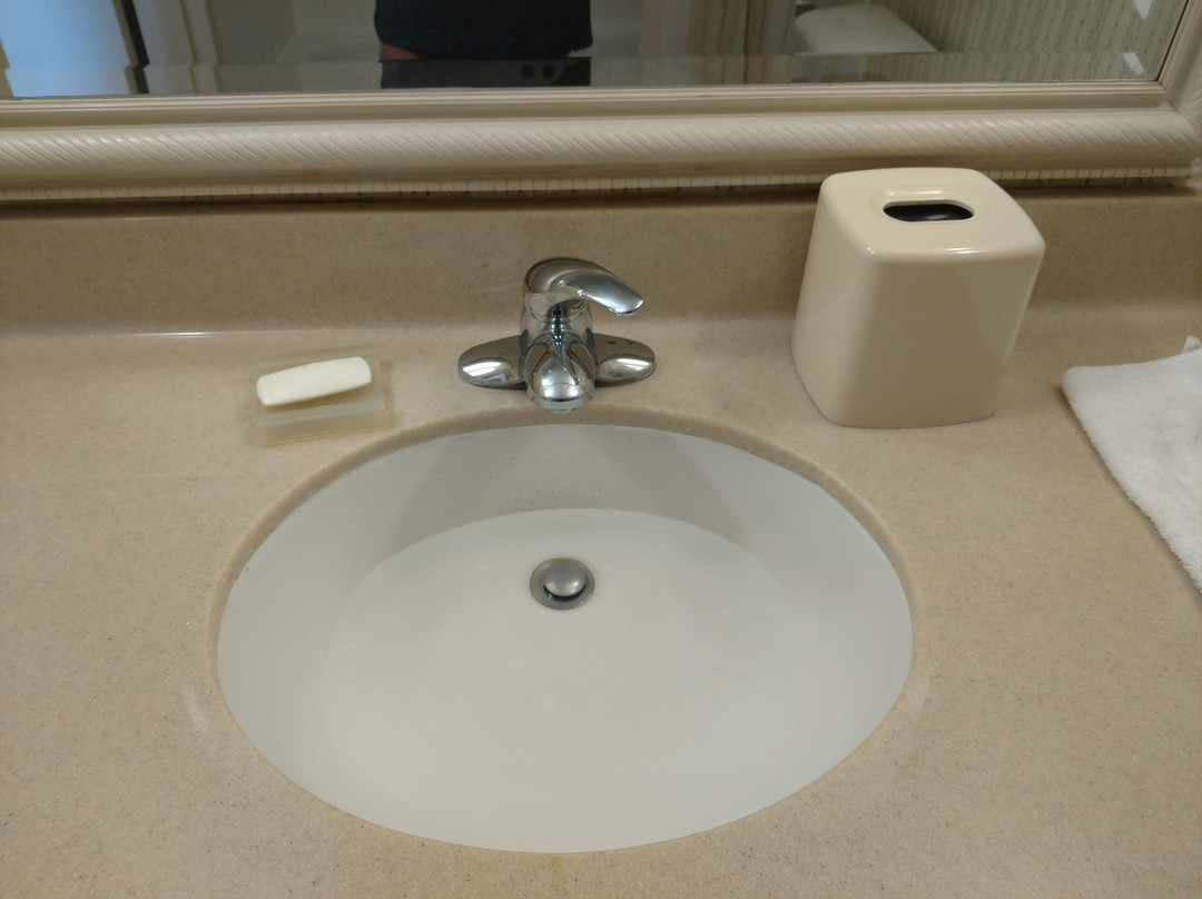 北阿尔伯克基/里奥兰科希尔顿花园酒店主图