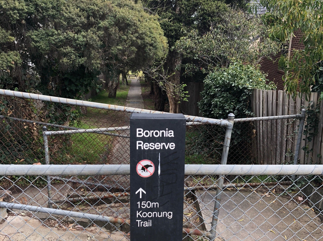 Boronia Grove Reserve景点图片