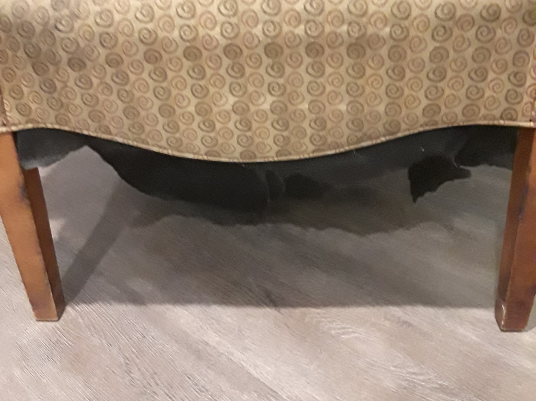 吉尔罗伊旅馆主图