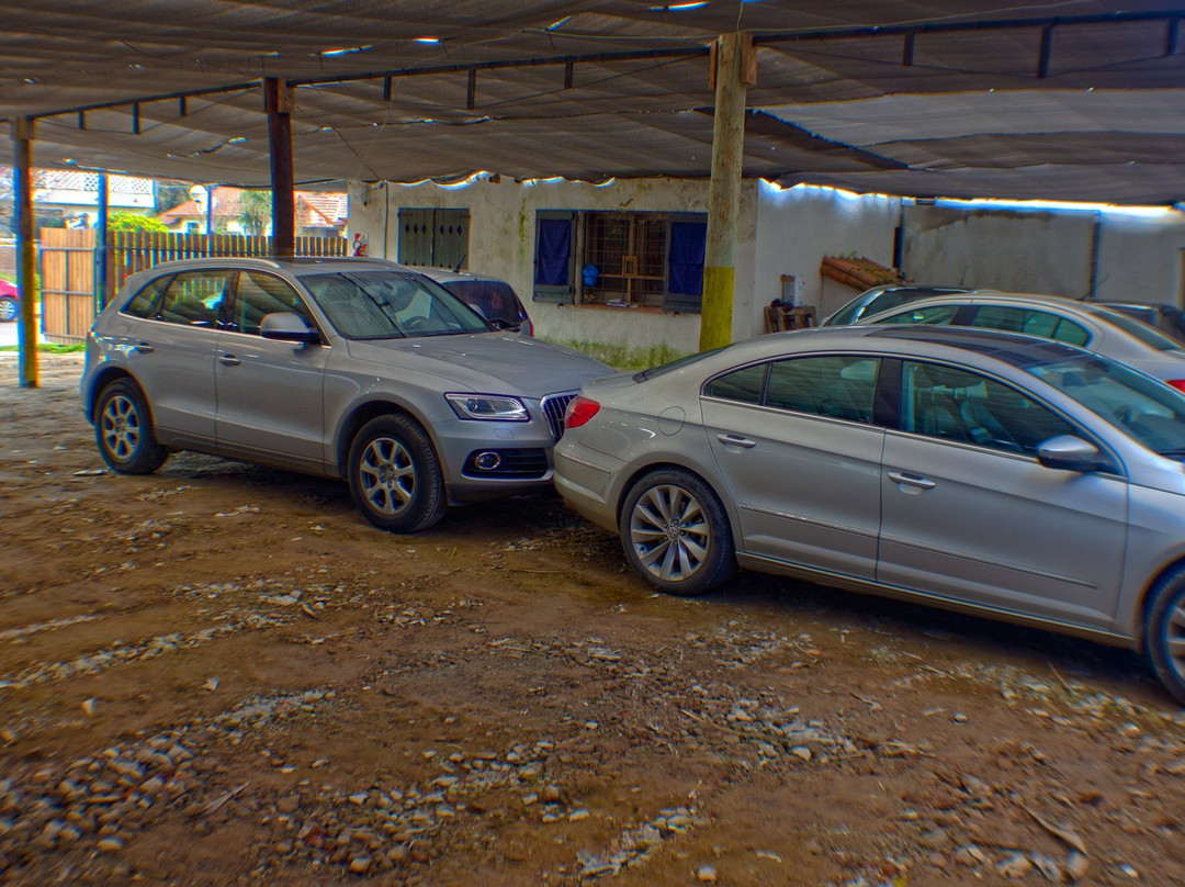 Bernie's Bed & Breakfast主图