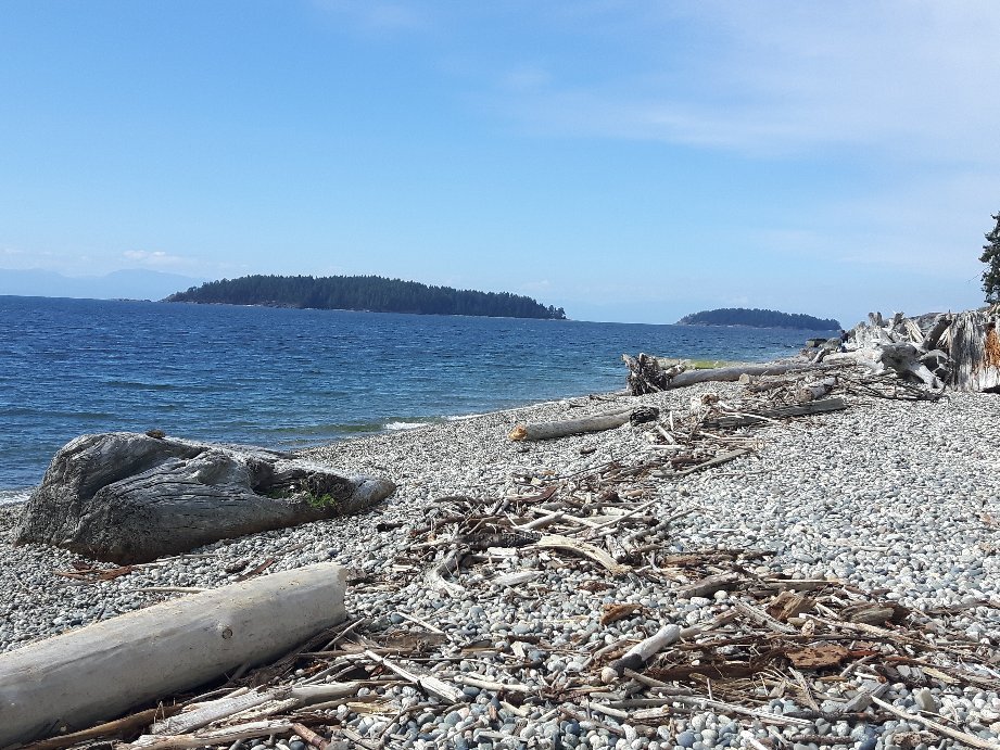 Above the Inlet B&B and Vacation Rentals-泳池