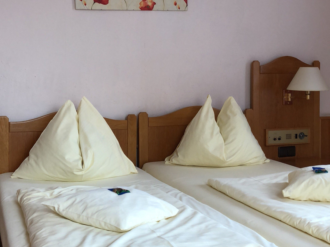 Hotel Kitzinger Hof主图