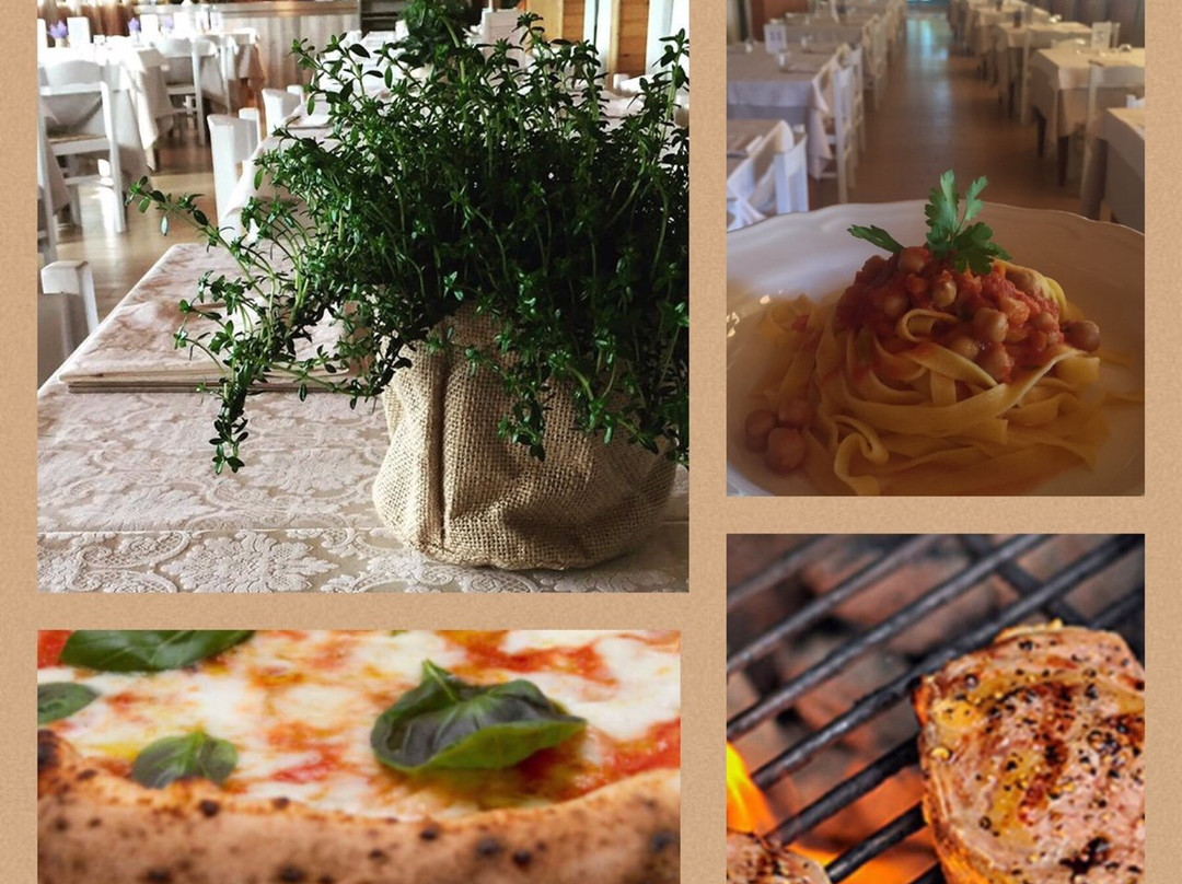 Sant'Elpidio a Mare餐馆和美食-Ristorante Jolly da Masha