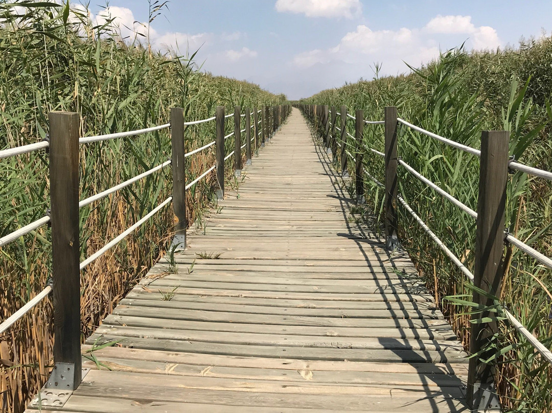 Sultan Sazlığı Bird Sanctuary景点图片