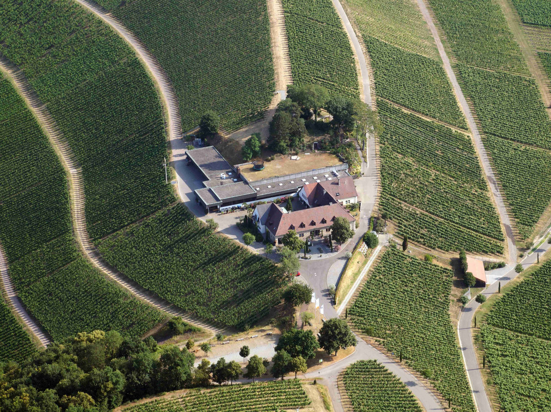 Sasbach am Kaiserstuhl旅游攻略图片