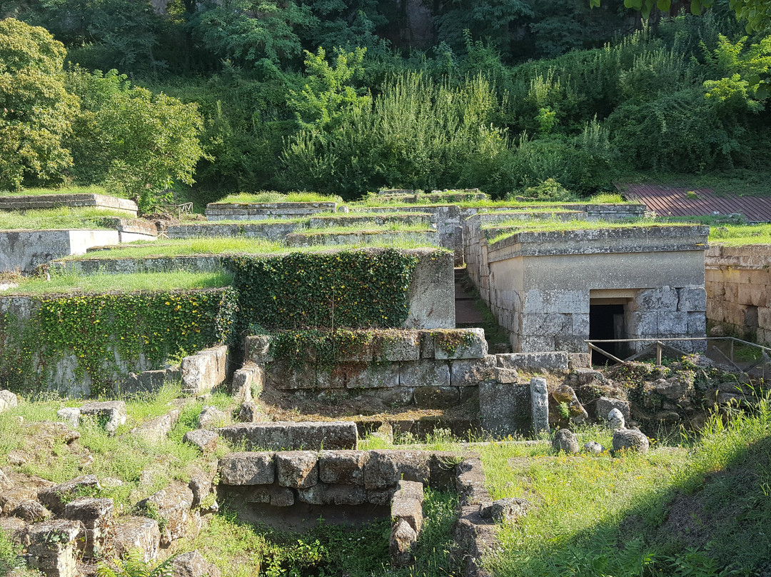 Necropoli Etrusca Di Crocifisso Del Tufo