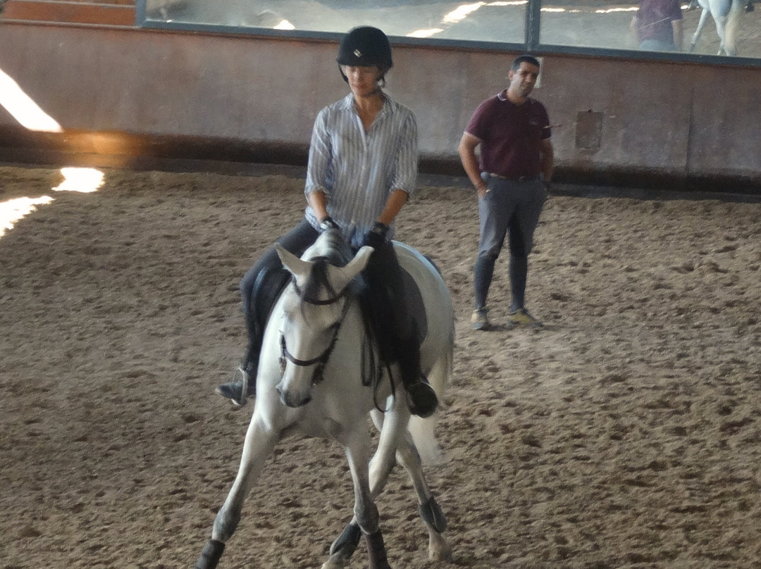 Lusitanos Riding Centre景点图片