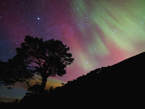 Wilderness Scotland-因弗内斯必去景点