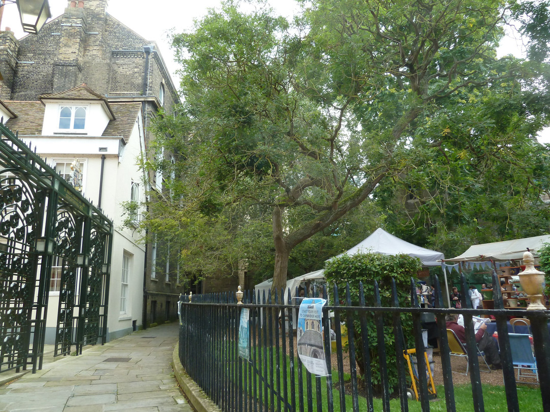 All Saints Garden Art and Craft Market-剑桥必去景点