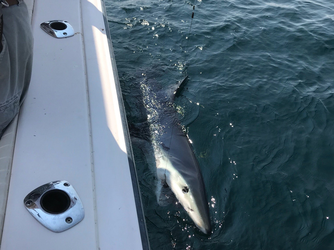 Fishing on the Deborah Ann-巴斯必去景点