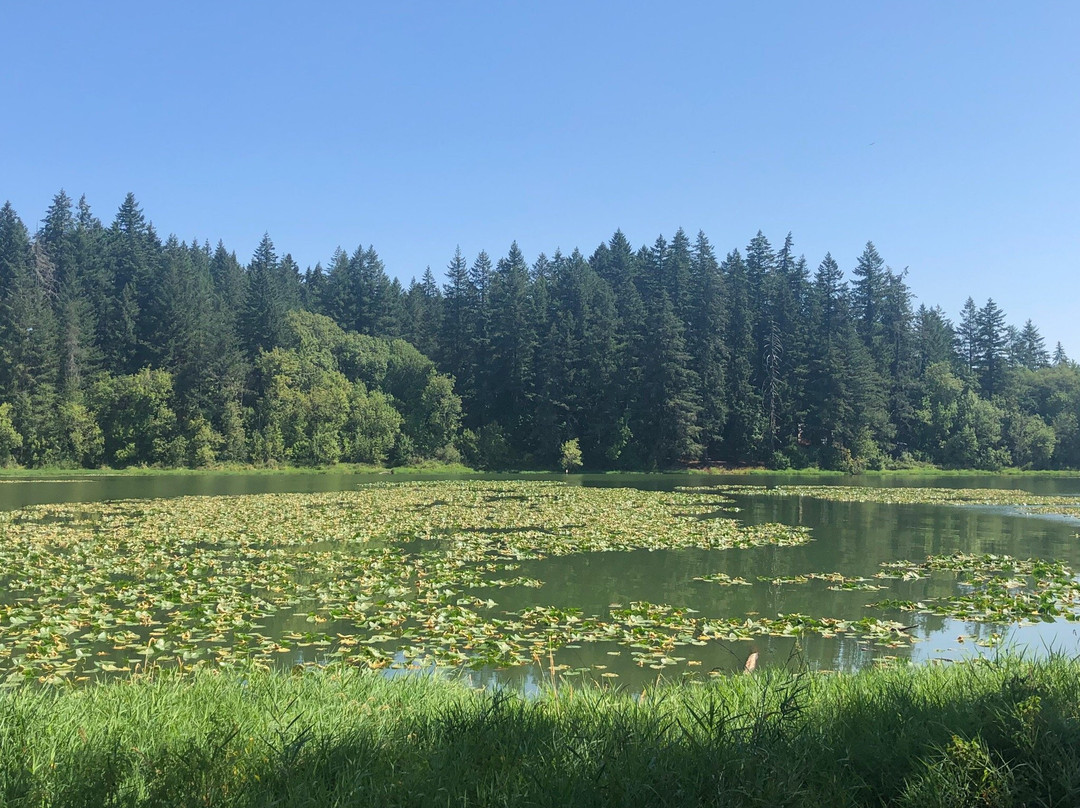 Lacamas Heritage Trail-Camas必去景点