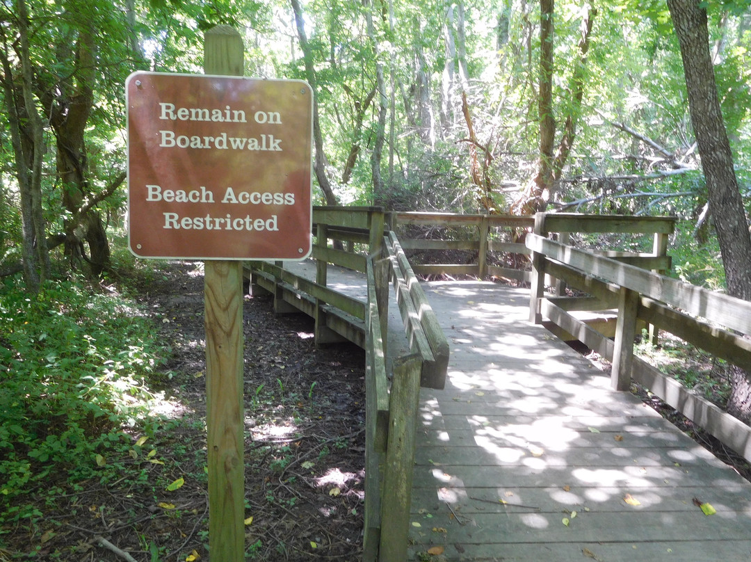 Cape Charles Natural Area Preserve景点图片