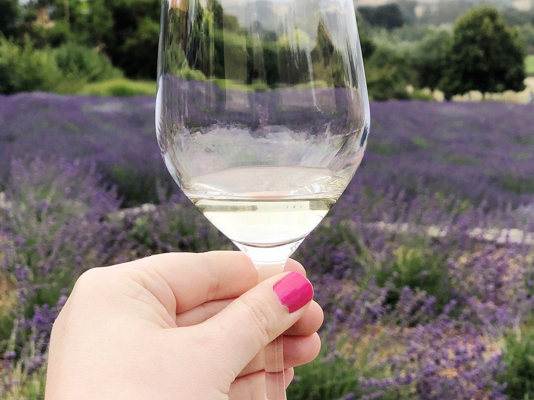 Matanzas Creek Winery景点图片