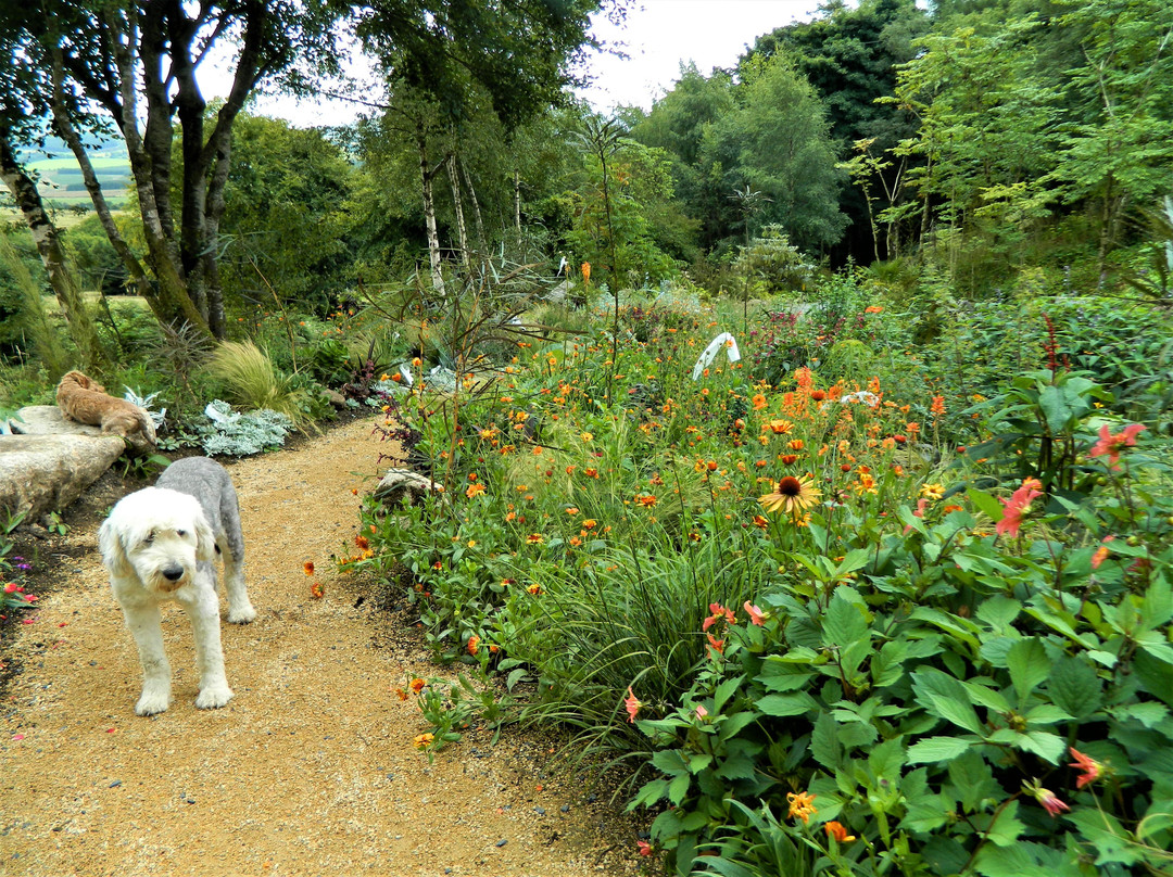 Hunting Brook Gardens-Blessington必去景点